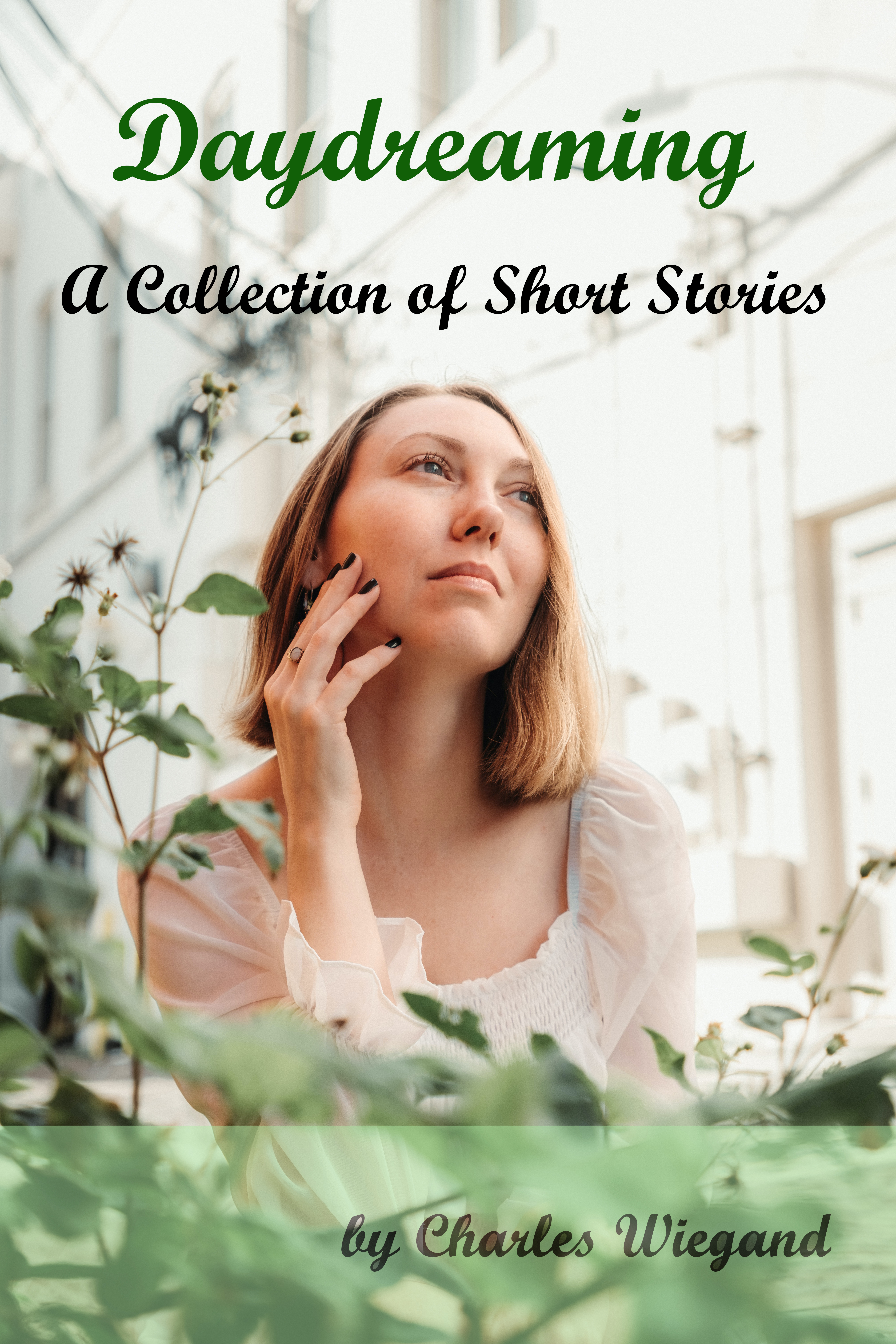 Image of the cover of the book of short stories titled 