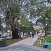 Av 25 de Mayo (3)