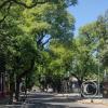 Corrientes y Rioja
