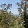 Parque San Martín at the hilltop viewpoint (6)