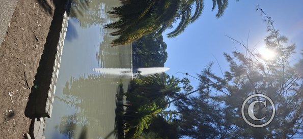 Lago del Parque San Martin