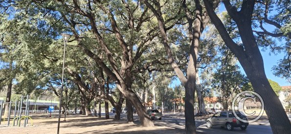 Plaza Atlantico Sur (2)