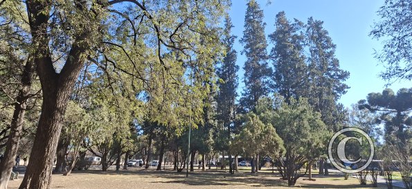 Plaza Atlantico Sur (3)