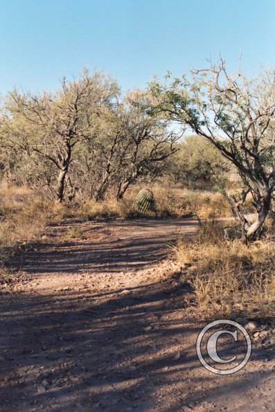 another-path-in-cienega