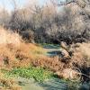 creek-in-cienega-2