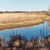 creek-in-cienega-again