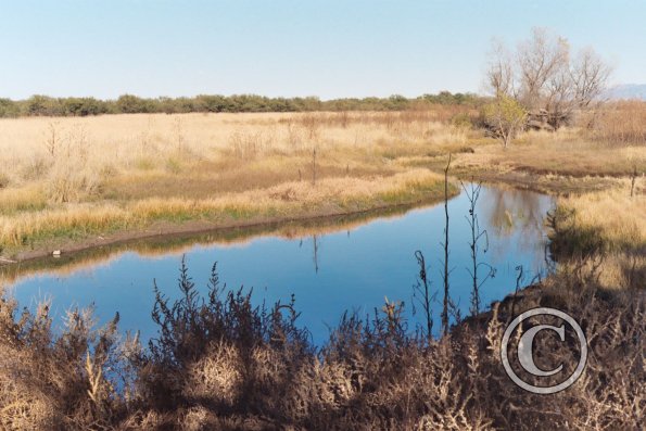 creek-in-cienega-again