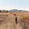 creek-in-cienega