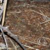 17880199955