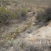 LomaAltaTrail 003
