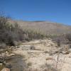 LomaAltaTrail 010