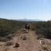 LomaAltaTrail 021