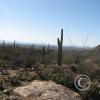 LomaAltaTrail024