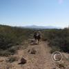 lomaaltatrail-021_17277606923_o
