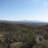 lomaaltatrail026_17514461388_o