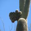 SweetWaterTrail 006