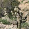 SweetWaterTrail 008