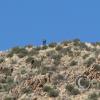 SweetWaterTrail 021