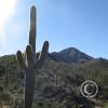 SweetWaterTrail 032