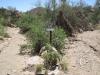 Thunderbird_Cactus_Canyon_Hike