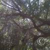 18165572912