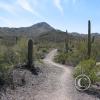 sweetwater_trail1