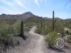 sweetwater_trail1_17272975284_o