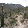 sweetwater_trail2-medium_18128254422_o
