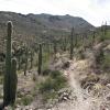 sweetwater_trail2