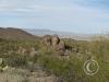 sweetwater_trail5