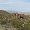 sweetwater_trail5