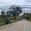 Parque Principal (3)