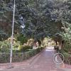 Plaza Principal (8)
