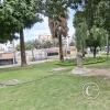 Alongisde Av Rafael Urquidi (5)