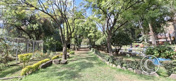 Jardín Botánico Martín Cárdenas (15)