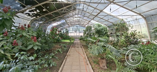 Jardín Botánico Martín Cárdenas (28)