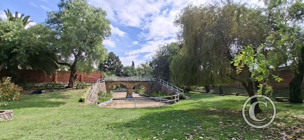 Jardín Botánico Martín Cárdenas (30)