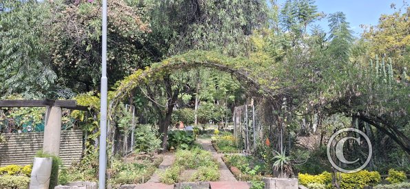 Jardín Botánico Martín Cárdenas (40)