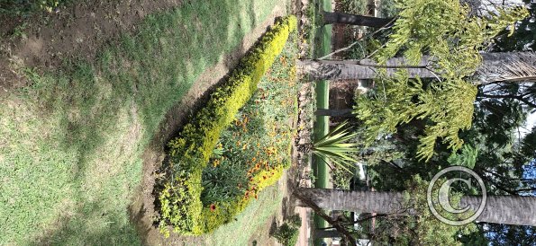 Jardín Botánico Martín Cárdenas (52)