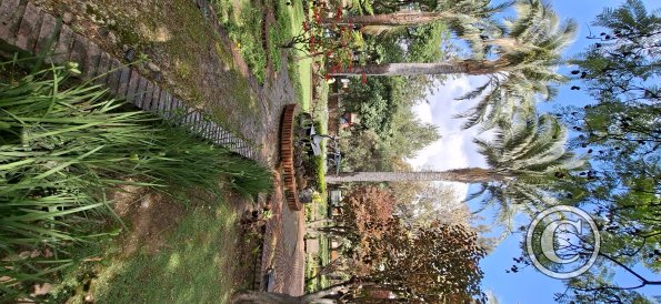 Jardín Botánico Martín Cárdenas (58)