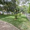 Paseo El Prado in Av Jose Ballivian (6)