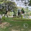 Paseo El Prado in Av Jose Ballivian (7)