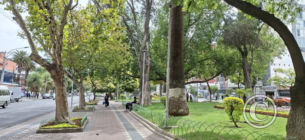 Paseo El Prado in Av Jose Ballivian