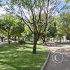 Plaza Constitucion at Calle Chuquisaca and Av Daniel Salamanca