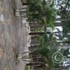 Plaza Central (2)