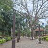 Plaza Central