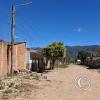 Street scene (24)
