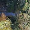 a creek