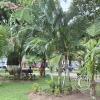 The Main Plaza (5)