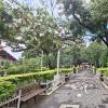 Parque Principal (4)